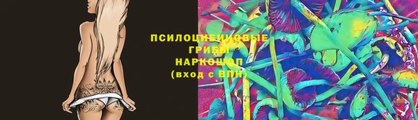 круглые Аркадак