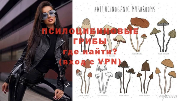 круглые Аркадак