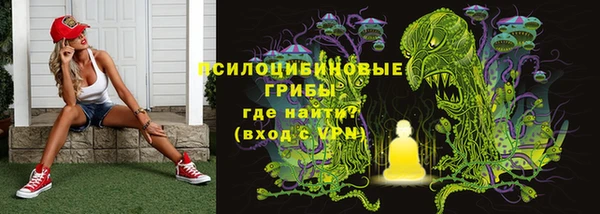 не бодяженный Арсеньев