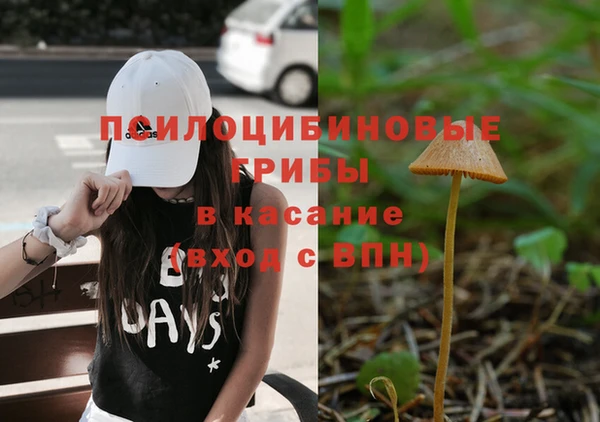 прущие грибы Семилуки